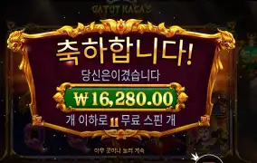 프라그마틱 가토 카카즈 퓨리