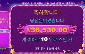 스위트 보난자 1000 다이스 183배