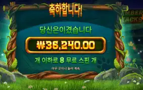 팀버 스택스 181배