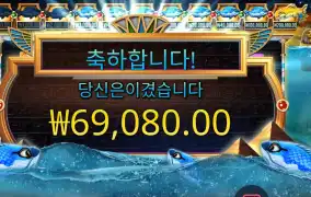 피시 아이 69천원