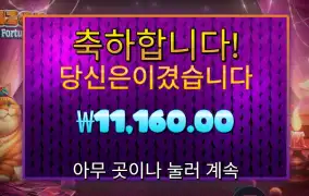 폰조 필라인 포춘스 １１천원