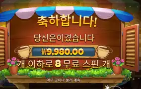 프라그마틱 커피 와일드