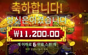트리플 팟 골드 11천원