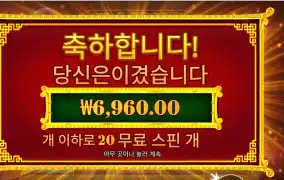 프라그마틱 5 라이언즈 리본