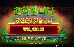 휠 오골드 １４스핀