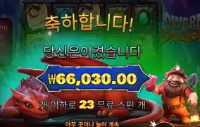 드워프 앤드 드래곤 ３３０배