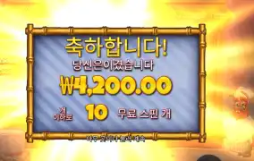 랍스타 밥스 １콩 배팅