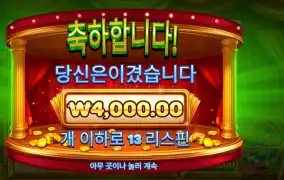 빙고 마니아 １３스핀