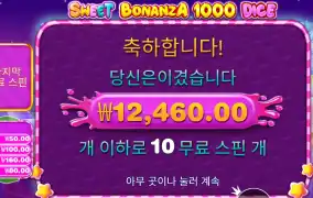 스위트 보난자 1000 다이스