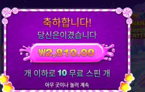 스위트 보난자 슈퍼 스캐터 2콩 배팅