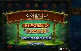 후르츠 오브 더 아마존 ３천원