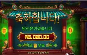 그리디 포춘 피그 후기