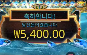 피시 아이 5천원