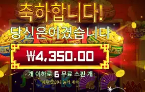 트리플 팟 골드 ６바퀴