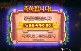 포춘 힛 앤 롤 277배