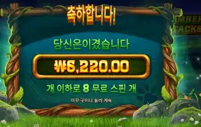팀버 스택스 6천원