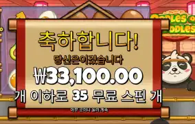 우들즈 오브 누들즈 35스핀