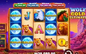 프라그마틱 울프 골드 올티메이트