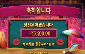 핀업 걸스 ２１７배