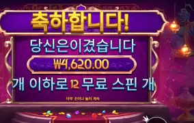 지니스 젬 보난자 2콩 배팅