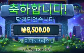 템플 가디언즈 ８천원