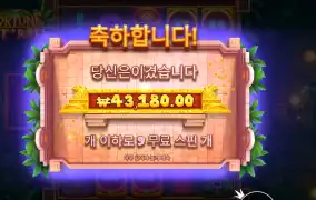 포춘 힛 앤 롤 216배