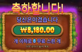 프라그마틱 머니 스택스 다이스 후기