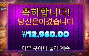 프라그마틱 폰조 펠라인 포춘스 후기