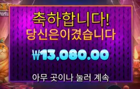 온라인슬롯 폰조 펠라인 포춘스 13천원