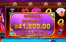 데빌리어스 209배