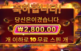 캐시 칩스 10바퀴