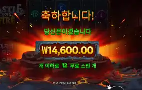 캐슬 오브 파이어 14천원