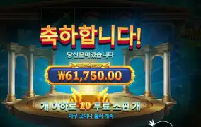 메두사즈 스톤 309배