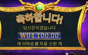 올림푸스 슈퍼 스핀 구매