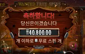 더 와일드 갱 ２０４배