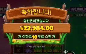 프라그마틱 타이니 토드 23천원