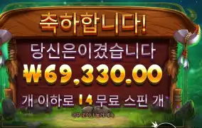 프라그마틱 릴리즈 더 바이슨 347배