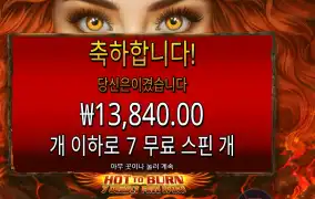 핫 투 번 7 데들리 13천원