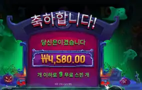 인펙티드 와일드 9스핀