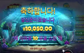 와일드 와일드 펄스 １콩