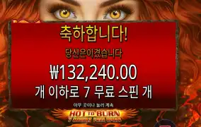 핫 투 번 ７ 데들리 프리 스핀즈 １３콩