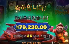 드워프 앤드 드래곤 ３９６배