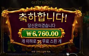 가토 카카즈 퓨리 ２５스핀