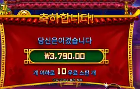 펫 판다 １４천원 배팅 결과