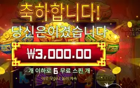 트리플 팟 골드 3천원
