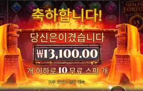 젬 파이어 포춘 １３천원