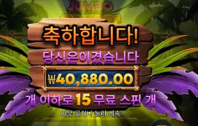 점보 사파리 204배