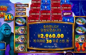 콩고 캐시 30스핀