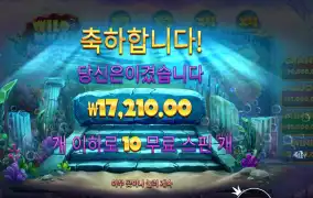 와일드 와일드 펄스 후기