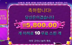 스위트 보난자 １０００ 다이스